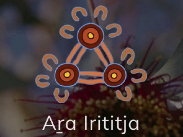 Indigenous logo on background, withthe words Ara Iritija written in white.